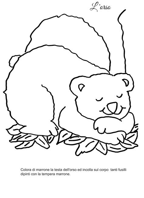 Una decisione scaturita a seguito di due casi di positività al covid riscontrata in due studenti. Autunno: gli animali che vanno in letargo | Bear template ...