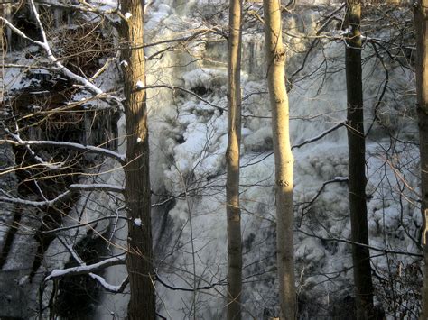 Frozen Waterfall Through Trees Free Stock Photo Public Domain Pictures
