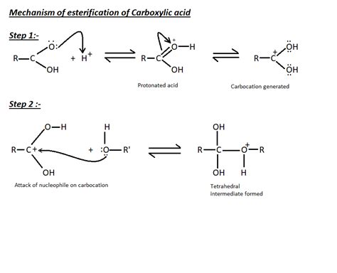 Mechanism Of Esterification Of Carboxylic Acids The Unconditional Guru
