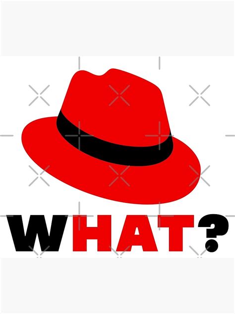 What Hat Poster For Sale By Askartongs Redbubble