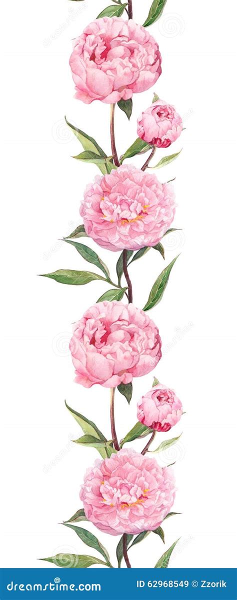 Pink Peonies Flowers Seamless Floral Border Frame Watercolor Stock