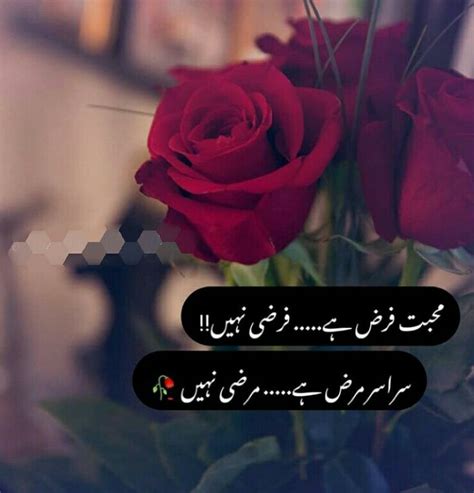 Pin By Rabyya Masood On Urdu Poetry Urdu Poetry Flowers Rose