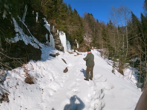 Fotovideo În Munții Rodnei Iarna E La Ea Acasă Plimbări Cu Sania
