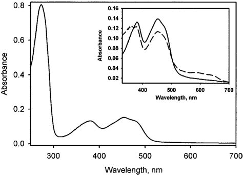 Uv Visible Absorption Spectrum Of Nr1 The Spectrum Of Purified
