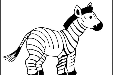 Use this lesson in your classroom, homeschooling curriculum or just as a hand each student a piece of paper with an uncolored, stripeless zebra printed out on it. Baby Zebra Coloring Pages Coloring Home