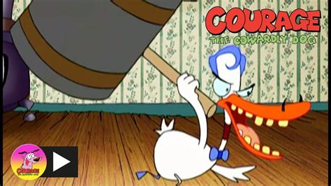 Courage The Cowardly Dog Duck Doctor Cartoon Network