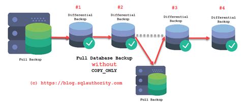 Sql Server Backup Database Asoplace