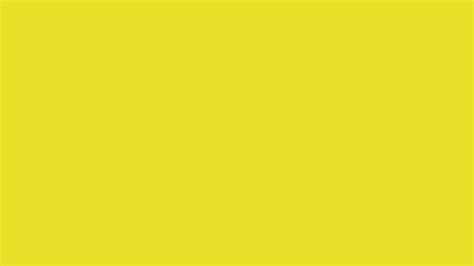Sunflower Yellow Solid Color Background 1000 Free Download Vector