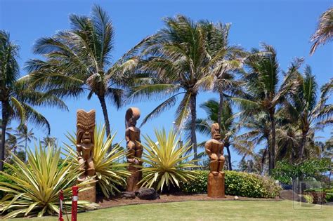 Polynesian Cultural Center | Polynesian cultural center, Polynesian, Cultural center