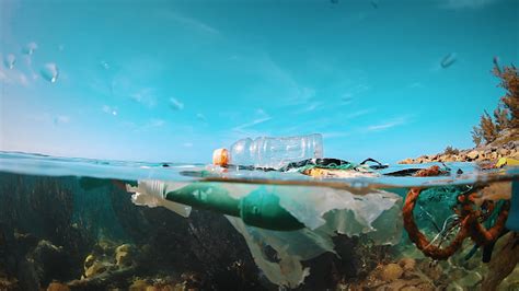 How You Can Help Stop Plastic Pollution In Our Oceans The Weather Channel