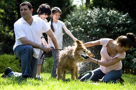 Free picture: mother, young, daughter, son, father, washing, dog