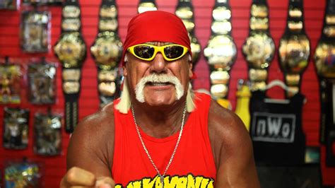 Hulk Hogan Wallpaper 1024x768 56 Images