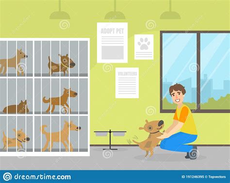 Animal Shelter With Dogs In Cages Male Volunteer Man Caring For