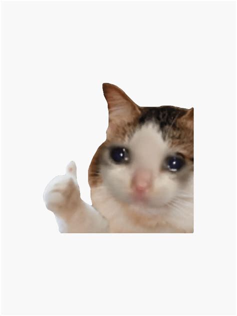 Thumbs Up Sad Cat Sticker For Sale By Eviefilms Redbubble