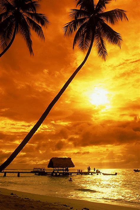 Free Download Tropical Sunset Wallpaper Beach Wallpapers 640x960 For Your Desktop Mobile