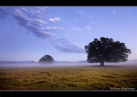 Mist Lifting Over Pastures Mist Lifting Over Pastures Earl Flickr