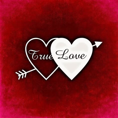 Free Illustration True Love Heart Greeting Card Free Image On