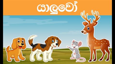 Sinhala Cartoon යාලුවෝ Lama Katha 2022 Katun Kathandara Youtube
