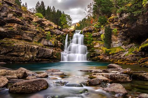 Download Forest Nature Waterfall Hd Wallpaper