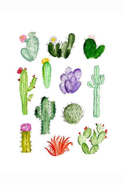 Colourful Cacti Cactus Art Cactus Drawing Succulent Drawings Cactus