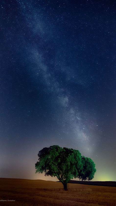 Download Wallpaper 1080x1920 Tree Starry Sky Field Night Grass