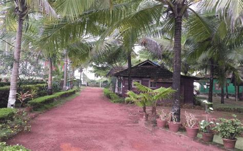 Renting a room with homestay in. 12 Best Resorts In Kannur For A Cool and Cozy Beach Vacation