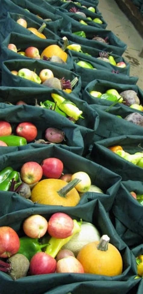 Ins And Outs Of A Csa — Hillsdale Farmers Market
