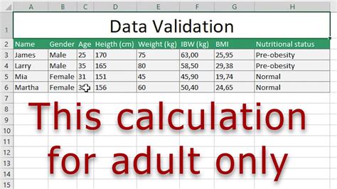 Excel Tutorial Data Validation YouTube