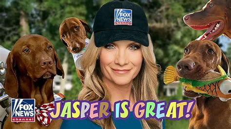 Dana Perino My 10 Favorite Photos Of Jasper Americas Dog 2018