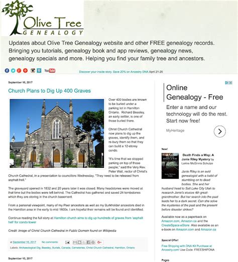 Genealogys Star Expand Your Searches With The Olive Tree Genealogy