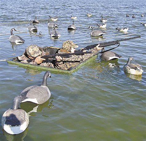 Résultats De Recherche Dimages Pour Floating Duck Blind Duck