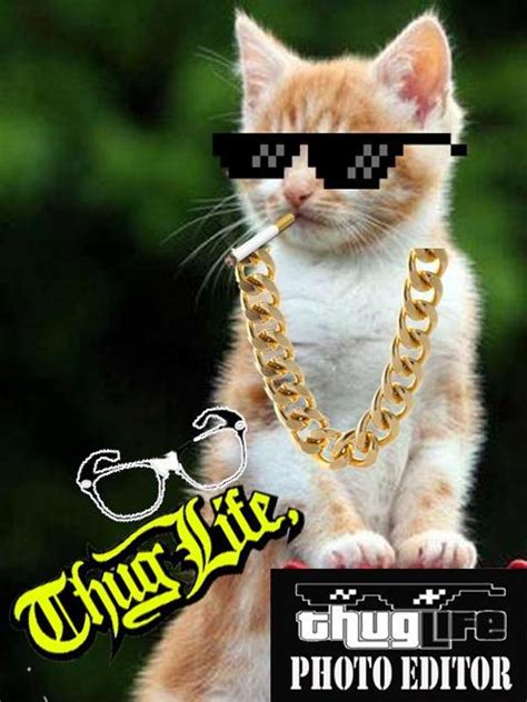 Making pictures come to life.— 7 edit pictures check out the other options for editing. Thug Life Photo Sticker APK Download - Free Photography ...