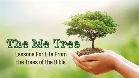The Me Tree Lessons For Life From The Trees Of The Bible In Gods Image