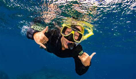 Great Barrier Reef Snorkelling Australia Dive