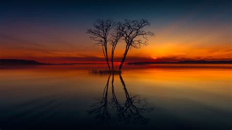 2560x1440 Horizon Lake Nature Reflection Sunset Tree 1440p Resolution Hd 4k Wallpapers Images