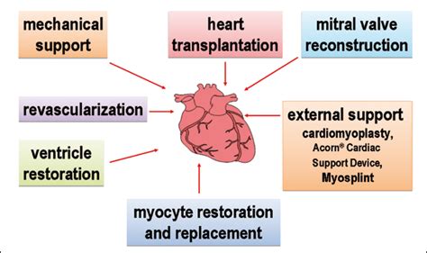 Pdf Surgical Treatment Concepts For Heart Failure Semantic Scholar