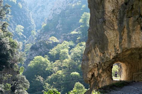 Scenery Of Mountains And Forest At Cares Trail Picos De Europa