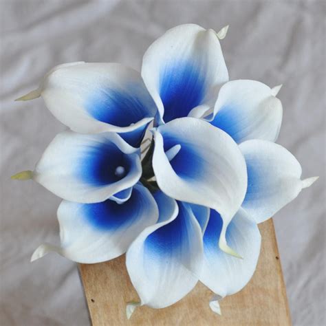 Pcs Real Touch Royal Blue Picasso Calla Lilies Calla Lily Etsy