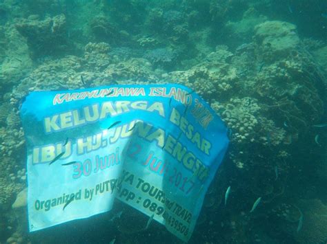 Paket Tour Karimunjawa Dari Jepara Cv Putra Wijaya