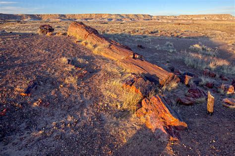 The Giant Petrified Logs Of Petrified Forest National Park Located