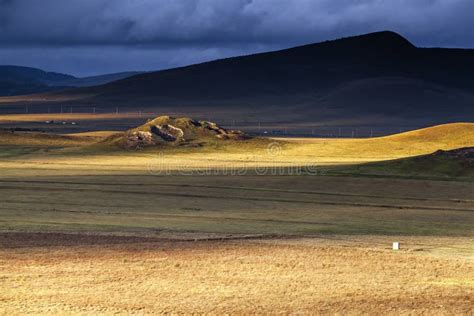 Golden Grassland Landscape In The Bush With Grampians Mountains In The