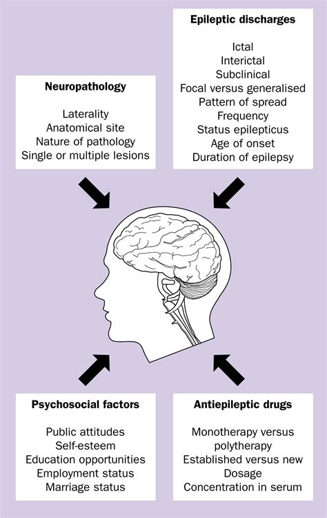 Neuropsychological Effects Of Epilepsy And Antiepileptic Drugs The Lancet