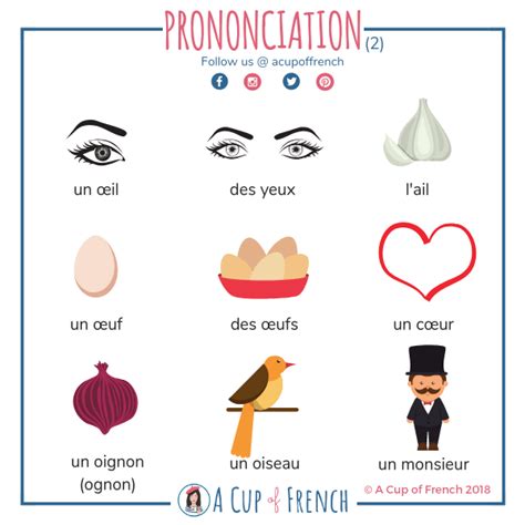 Membership A Cup Of French Learn French French Flashcards French