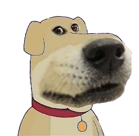 Found Pic On Blursedimages And Made It Into A Png Dogelore