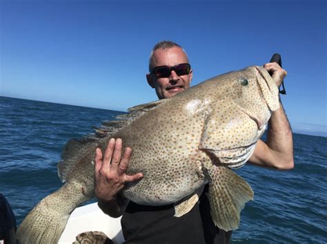 Cairns Fishing Charter Guide For Reef Fishing Queensland Great