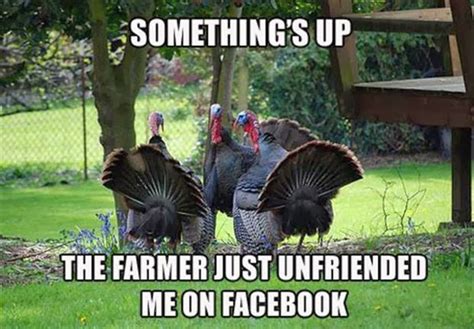Goofy Animals Funny Animal Pictures With Captions Funny Thanksgiving