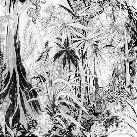 Jungle Drawing Fine Art Print Tropical Decor Rainforest Etsy Jungle