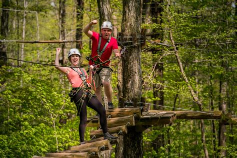 Treetop Trekking Named Ontario's Top Outdoor Attraction For 2020 ...