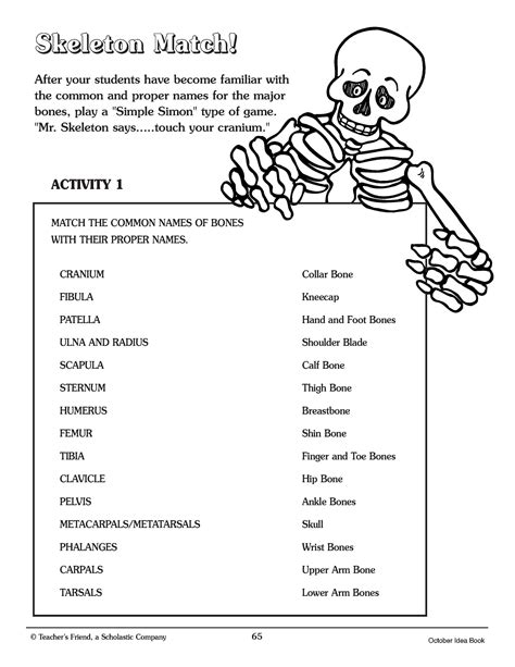 The Secrets In The Bones Worksheet Answers