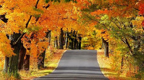 The Beauty Of Autumn Roads Hd1080p Youtube